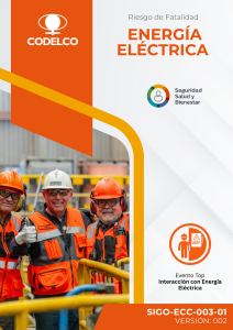 Gu&iacute;a de Seguridad Energ&iacute;a El&eacute;ctrica Codelco