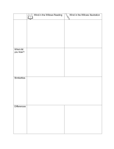 Wind in the Willows Reading & Illustration Worksheet