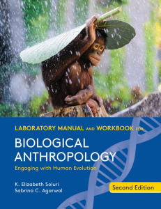 Biological Anthropology Lab Manual: Human Evolution Workbook
