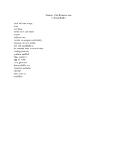 Anatomy of the Colectivo Mug by Sonia Bendre