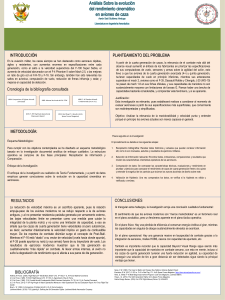 An&aacute;lisis de la evoluci&oacute;n del rendimiento de cazas