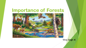 Importance of Forests