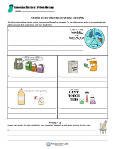Amoeba Sisters Lab Safety Video Recap Worksheet