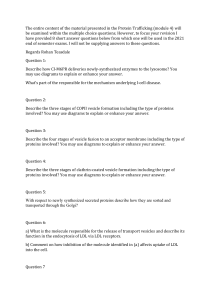 Protein Trafficking Exam Questions