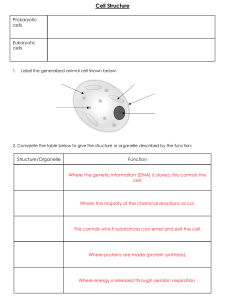 Cell Structure Worksheet: Prokaryotic & Eukaryotic Cells
