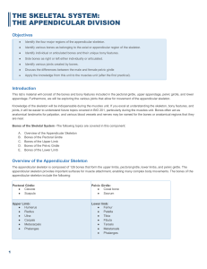 Appendicular Skeleton Lab Manual: Bones & Joints