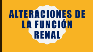 Alteraciones de la Funci&oacute;n Renal - Anatom&iacute;a y Fisiolog&iacute;a