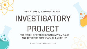 Digestion of Starch by Salivary Amylase