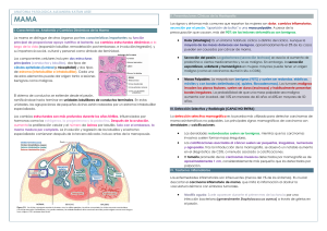 Anatom&iacute;a Patol&oacute;gica de la Mama: Anatom&iacute;a, Presentaciones Cl&iacute;nicas y Diagn&oacute;stico
