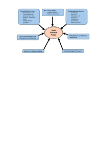 Factors for Small Placental Weight