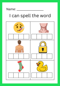 Spelling Worksheet for Kids