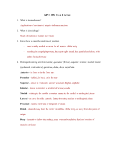 KINE 3334 Exam 1 Review: Biomechanics & Kinesiology Study Guide