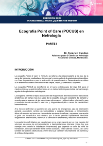 Curso de Ecograf&iacute;a POCUS en Nefrolog&iacute;a