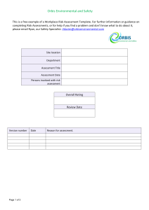 Workplace Risk Assessment Template