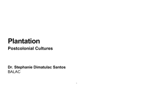 Plantation Postcolonial Cultures Presentation
