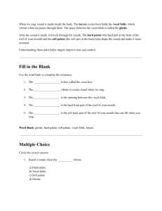 Vocal Anatomy Workbook