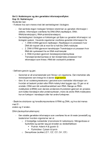 Nukleinsyrer og den genetiske informationsflyt