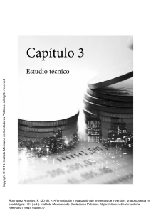 Cap&iacute;tulo 3: Estudio T&eacute;cnico de Proyectos de Inversi&oacute;n