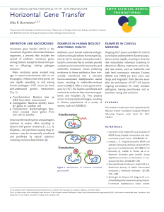 Horizontal Gene Transfer: Mechanisms and Antibiotic Resistance