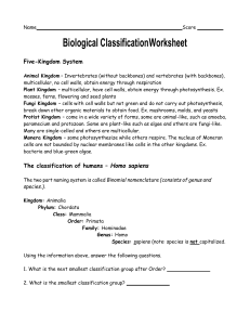 Biological Classification Worksheet