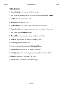 Grade 6 IT Revision Worksheet: GIMP Image Editing