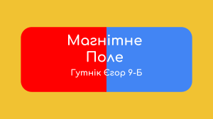 Magnetic Field: Presentation