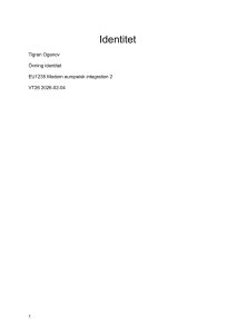 Europeisk integration och identitet: Akademisk analys