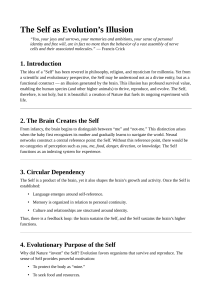 The Self as Evolution's Illusion