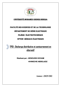 D&eacute;charge et contournement &eacute;lectrique en AC - Rapport TP