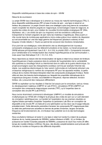 R&eacute;sum&eacute; SWIM : Dispositifs RF &agrave; ondes de spin
