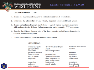 Lesson 14: Muscle II - Physiology
