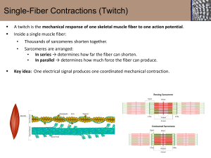 Skeletal Muscle Physiology: Single-Fiber Contractions