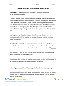 Genotypes and Phenotypes Worksheet - TeachEngineering