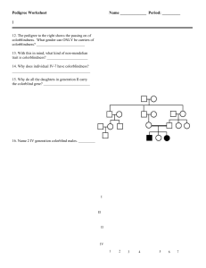 Pedigree Worksheet: Colorblindness Genetics Questions