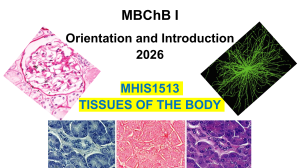MBChB I Tissues of the Body Module Guide 2026