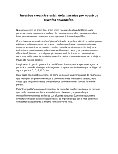 Creencias y Puentes Neuronales