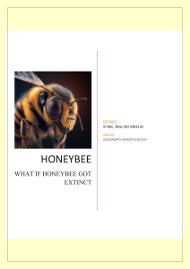 What If Honeybees Went Extinct? Importance & Solutions