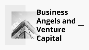 Business Angels and Venture Capital