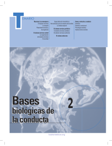 Bases biol&oacute;gicas de la conducta: Neuronas y sistema nervioso