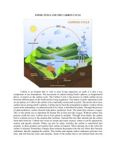 Fossil Fuels and the Carbon Cycle