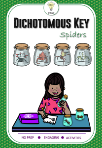 Dichotomous Key Spiders Teacher's Guide