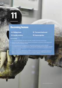Chapter 11: Becoming Human - Human Evolution & Classification