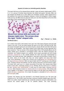 Impacts of Science on Inherited Genetic Disorders: Sickle Cell Anemia