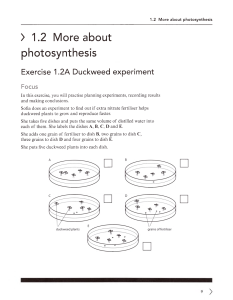 Photosynthesis Experiments: Duckweed & Leaf Tests