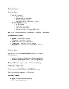 Endocrine System & Heart Review: Hormones & Cardiac Function