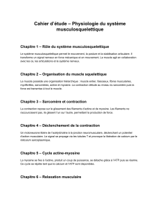 Physiologie du syst&egrave;me musculosquelettique &ndash; Cahier d'&eacute;tude