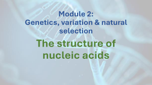 Module 2: Nucleic Acids Structure in Genetics