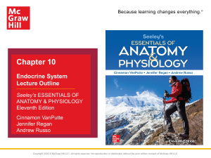Chapter 10: Endocrine System