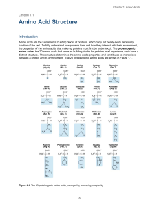 Amino Acid Structure: 20 Proteinogenic Amino Acids