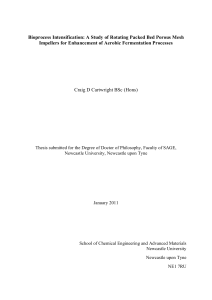 Bioprocess Intensification: Rotating Packed Bed Impellers for Fermentation